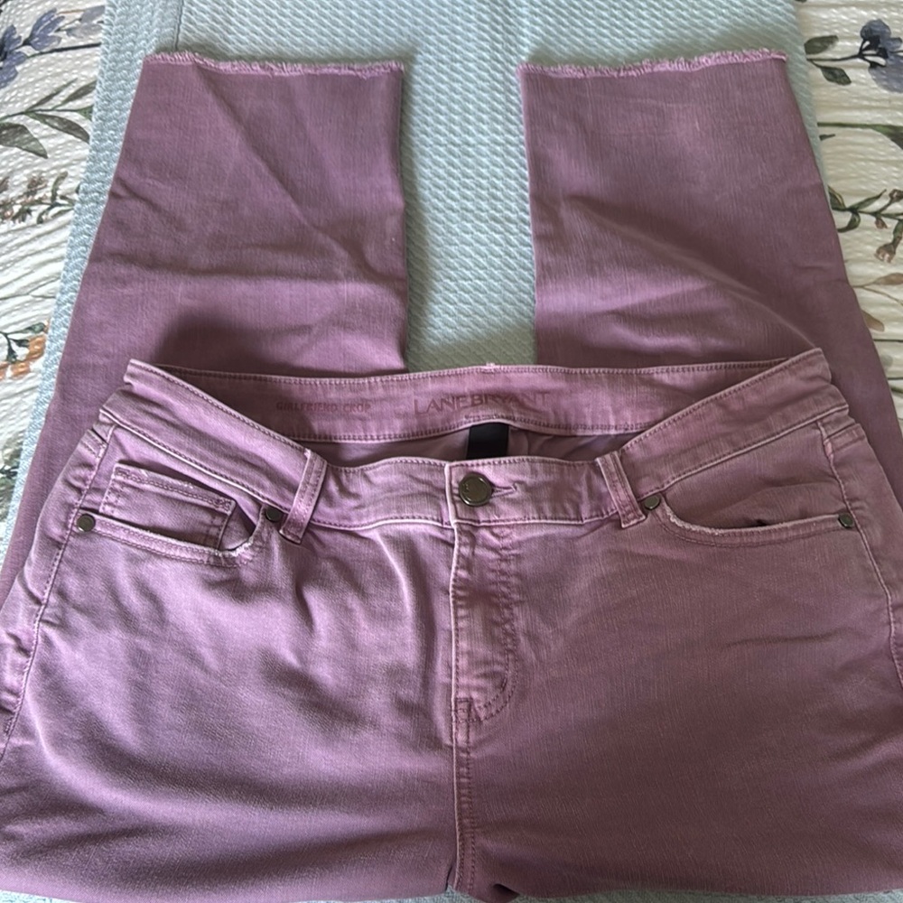 Lane Bryant Women's Purple Jeans